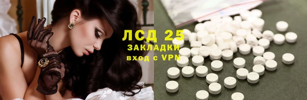 apvp Магадан