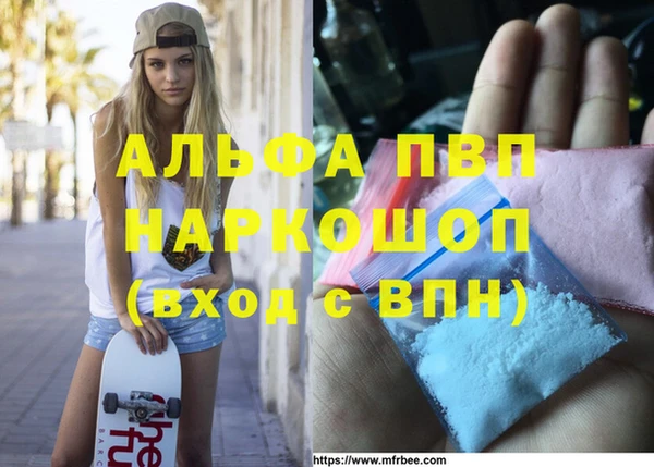 крисы Архангельск