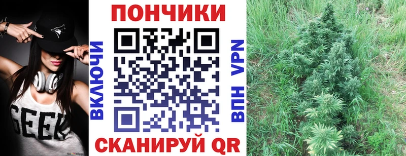 Марихуана Bruce Banner  Купить  Коряжма 